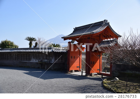 Sakurajima (I desire from Senshin garden) A gift from Ryukyu Kingdom Sakurajima (I desire from Senshin garden) A gift from Ryukyu Kingdom 28176733
