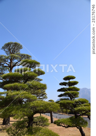 櫻島(我渴望來自Senshin Garden)Shimazu Yoshinori Todoke Sato Takamori Atsuhime世界文化遺產大型大名花園Okubo Toshimeda 櫻島(我渴望來自Senshin Garden)Shimazu Yoshinori Todoke Sato Takamori Atsuhime世界文化遺產大型大名花園Okubo Toshimeda 28176746