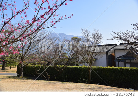 櫻島(我渴望來自Senshin Garden)Shimazu Yoshinori Todoke Sato Takamori Atsuhime世界文化遺產大型大名花園Okubo Toshimeda 櫻島(我渴望來自Senshin Garden)Shimazu Yoshinori Todoke Sato Takamori Atsuhime世界文化遺產大型大名花園Okubo Toshimeda 28176748