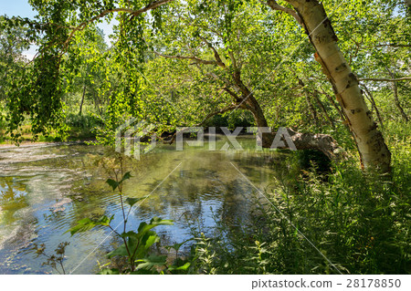 Khodutkinskiye hot springs at the foot of volcano Khodutkinskiye hot springs at the foot of volcano 28178850