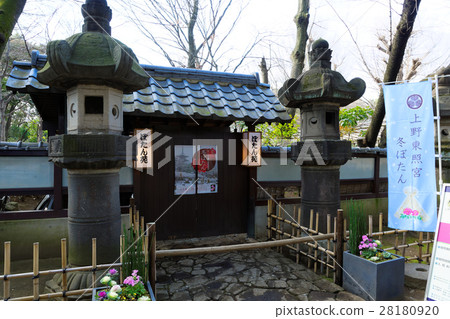 上野東照宮Botan花園 28180920