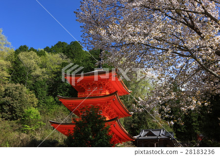 Chofukuji三重塔 Chofukuji三重塔 28183236