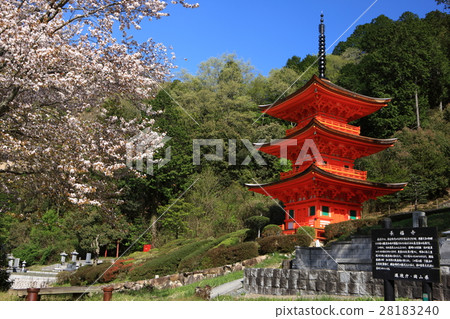 Chofukuji三重塔 Chofukuji三重塔 28183240