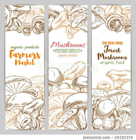 Mushrooms vector sketch farmer market banners set 28183359