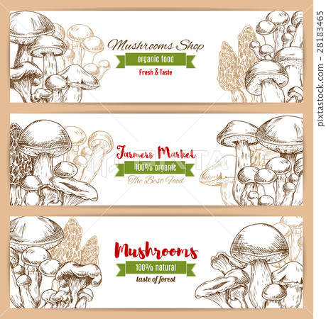 Mushrooms shop vector sketch banners set 28183465