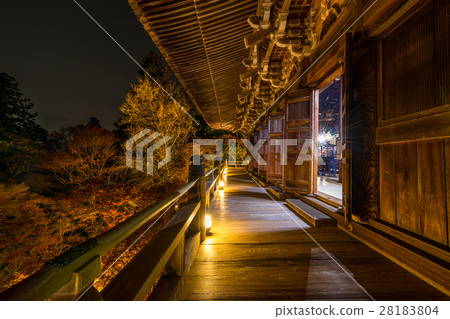 燦爛的彩色秋葉！在山建築寺廟Momiji節日點亮（兵庫縣，姬路市） 28183804