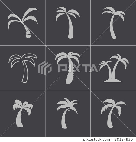 Vector black palm icons set - Stock Illustration [28184939] - PIXTA