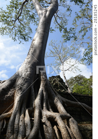 塔普倫廢墟 28185245