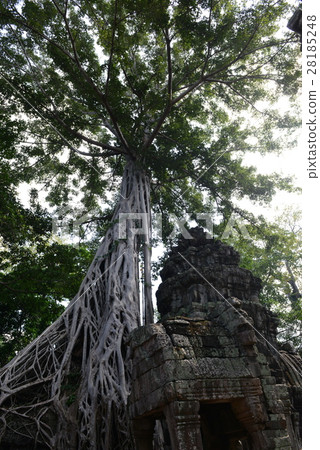 塔普倫廢墟 28185248