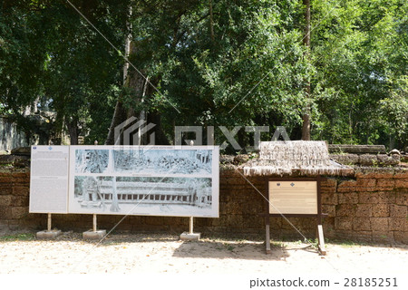 Ta Prohm Ruins 28185251