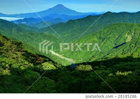 Mt. Fuji and Yushin Valley in the morning seen from the Tanzawa mountain ridge line 28185286