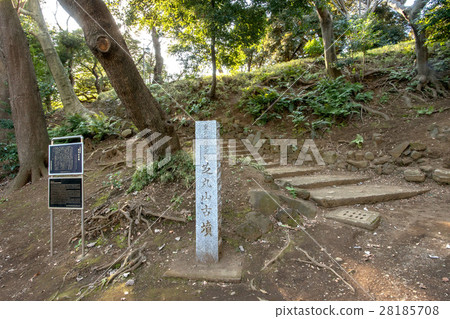 東京都港區芝公園芝丸山古墳 東京都港區芝公園芝丸山古墳 28185708
