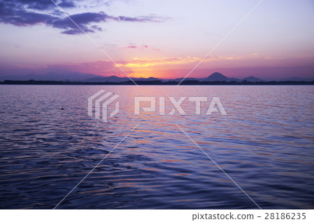晨光琵琶湖 晨光琵琶湖 28186235