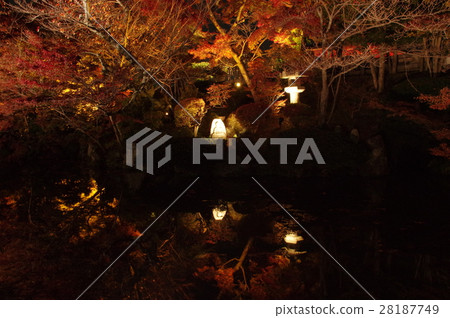 Kyoto autumn leaves night view Kyoto autumn leaves night view 28187749