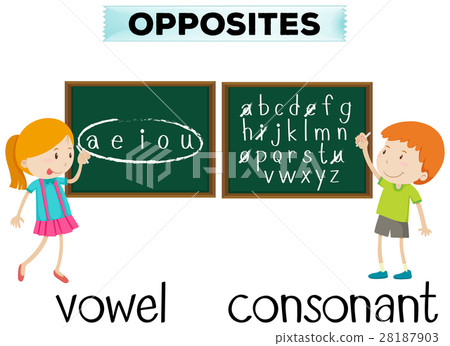 Opposite wordcard for vowel and consonant 28187903