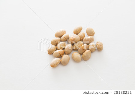大豆烤大豆白背 28188231