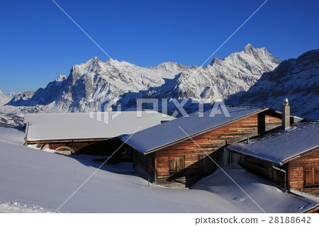 Winter landscape in Grindelwald, Swiss Alps 28188642