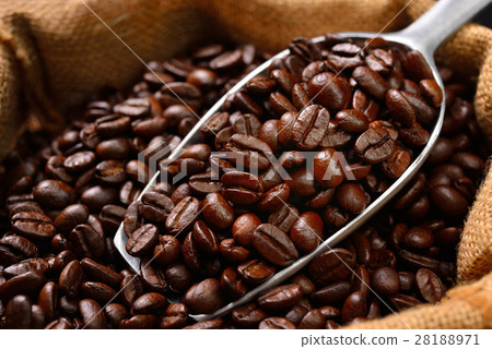 Coffee beans and scoop in burlap sack 28188971