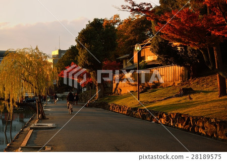 奈良鎮的黃昏 28189575