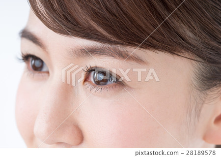 瞳孔 瞳孔 28189578