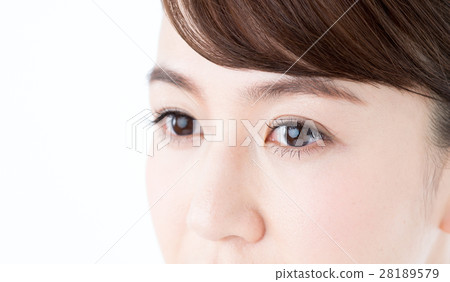 瞳孔 瞳孔 28189579