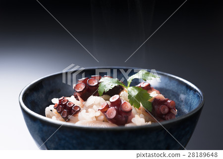 Octopus rice 28189648