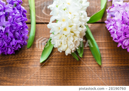 Fresh hyacinth flowers on wooden background 28190760