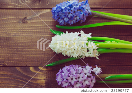 Fresh hyacinth flowers on wooden background. 28190777