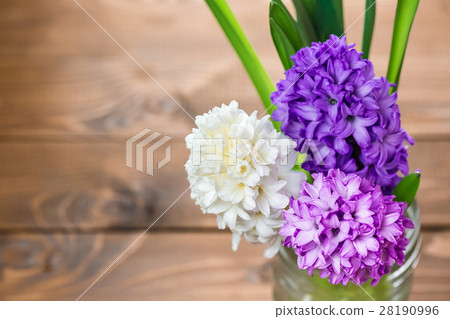 Fresh hyacinth flowers on wooden background. Fresh hyacinth flowers on wooden background. 28190996