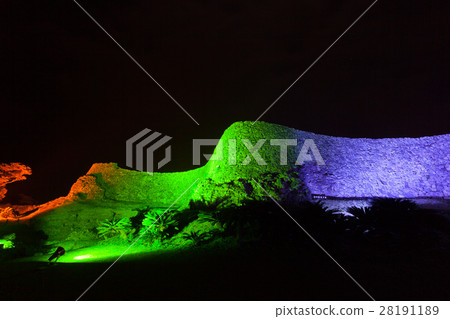 Nakijin Gusuku Sakura Festival Naiinin Castle Nakijin Gusuku Sakura Festival Naiinin Castle 28191189
