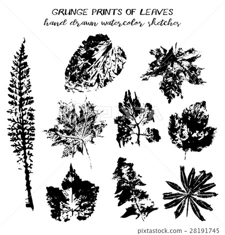 Set of grunge prints of leaves 28191745