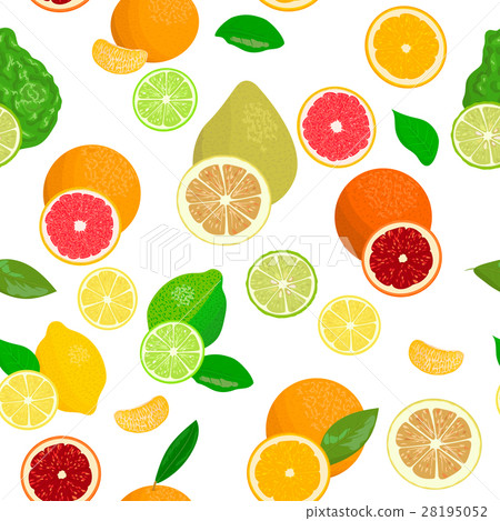 Fresh Citrus set. Bergamot, lemon, grapefruit 28195052