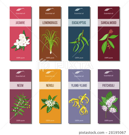 Essential oil tags collection. Sandalwood Essential oil tags collection. Sandalwood 28195067