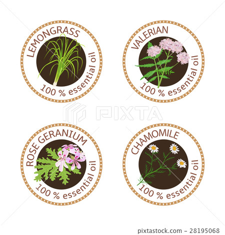 Set of essential oils labels. Rose Geranium 28195068
