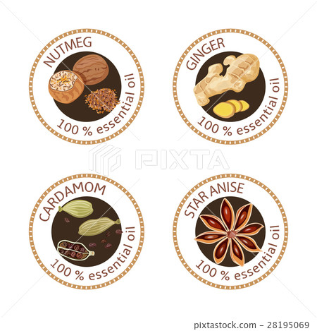 Set of essential oils labels. Nutmeg, ginger Set of essential oils labels. Nutmeg, ginger 28195069