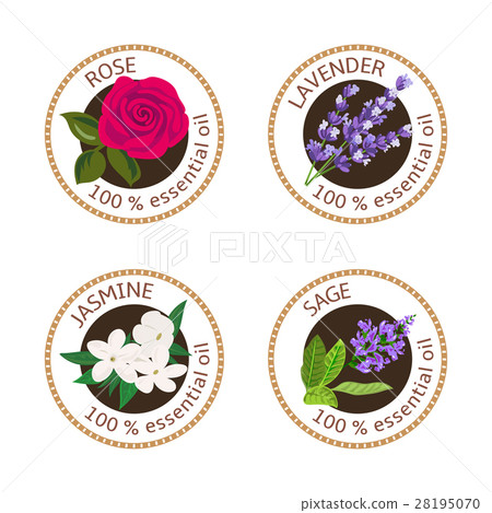 Set of essential oils labels. Rose, Sage, Lavender Set of essential oils labels. Rose, Sage, Lavender 28195070