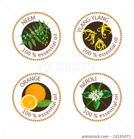 Set of essential oils labels. Ylang-ylang, neem Set of essential oils labels. Ylang-ylang, neem 28195071