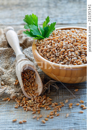 图库照片 wooden scoop and bowl of wheat grains.