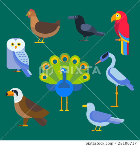 Birds vector set illustration isolated 28196717