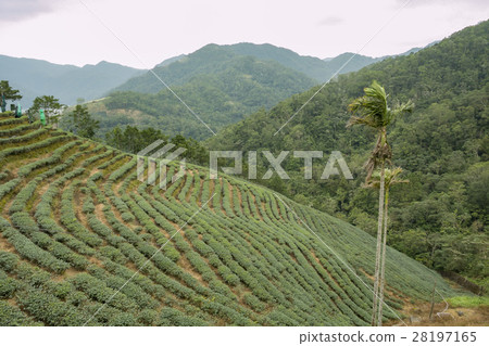 石碇千島湖漂亮的景緻 28197165