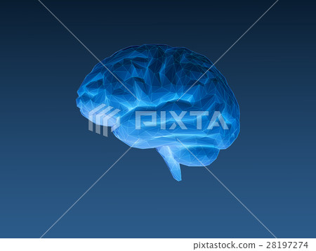 Low poly x ray brain on dark blue BG Low poly x ray brain on dark blue BG 28197274