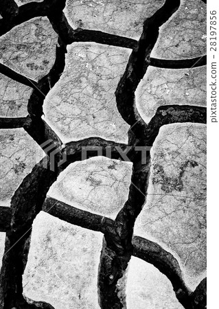 Dry ground Dry ground 28197856