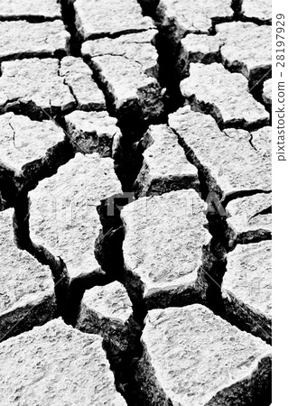 Dry ground Dry ground 28197929