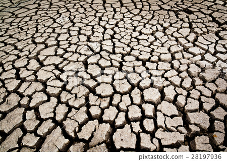 Dry ground Dry ground 28197936