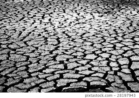 Dry ground 28197943