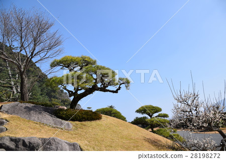 Senshin Garden(Satsuma Clan Daimyo Garden)Shimazu Yoshinori Todoke Nogo Takamori Atsuhime世界文化遺產大型大名花園Okubo Toshimeda Senshin Garden(Satsuma Clan Daimyo Garden)Shimazu Yoshinori Todoke Nogo Takamori Atsuhime世界文化遺產大型大名花園Okubo Toshimeda 28198272