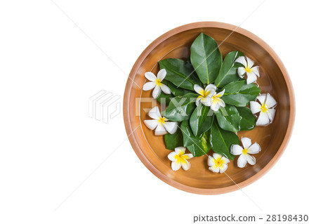 Top view clay water bowl with white flower (plumeria or frangipani) and green leaf isolated on white. Saved with clipping path Top view clay water bowl with white flower (plumeria or frangipani) and green leaf isolated on white. Saved with clipping path 28198430