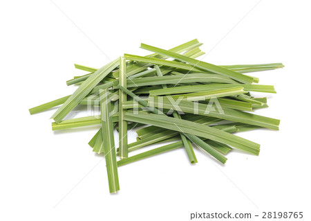Green Lemongrass or citronella grass leaf. Studio shot isolated on white 28198765