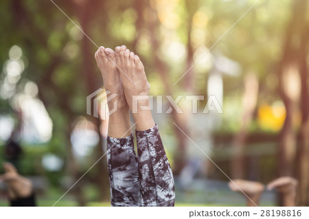 Asian woman doing yoga or exercise in the park Asian woman doing yoga or exercise in the park 28198816