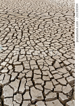 Dry ground 28198994